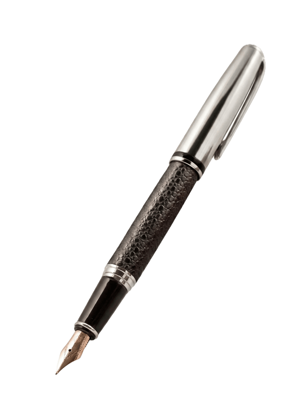 Pen illustration